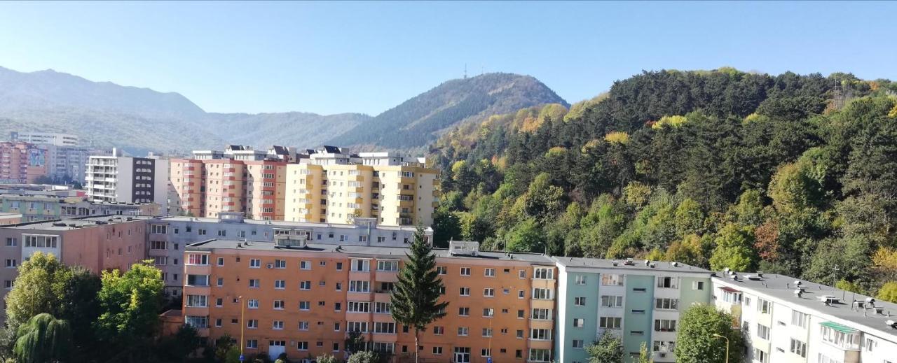 Ama Apartment Mountain View & Parking Brasov Ngoại thất bức ảnh